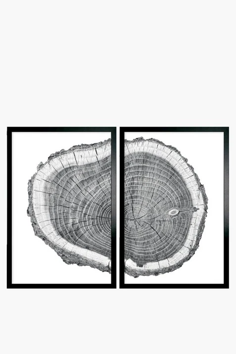 2 Pack Framed Tree Trunk Canvas, 40x60cm