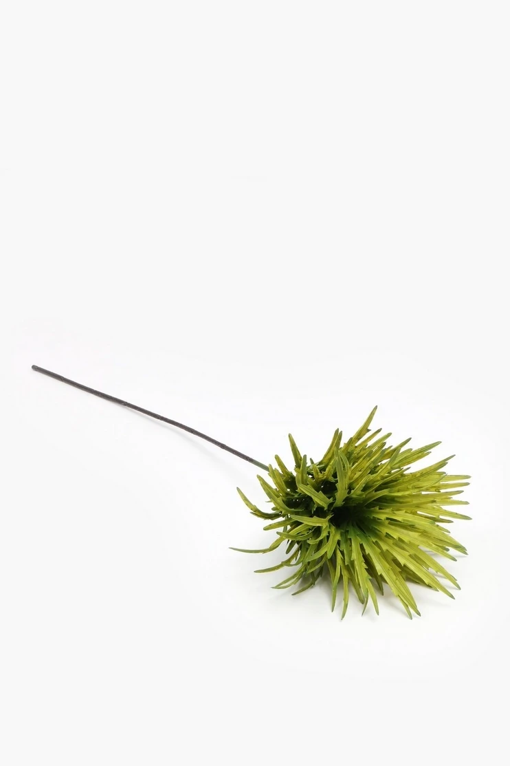 Claw Leaf Single Stem, 58cm