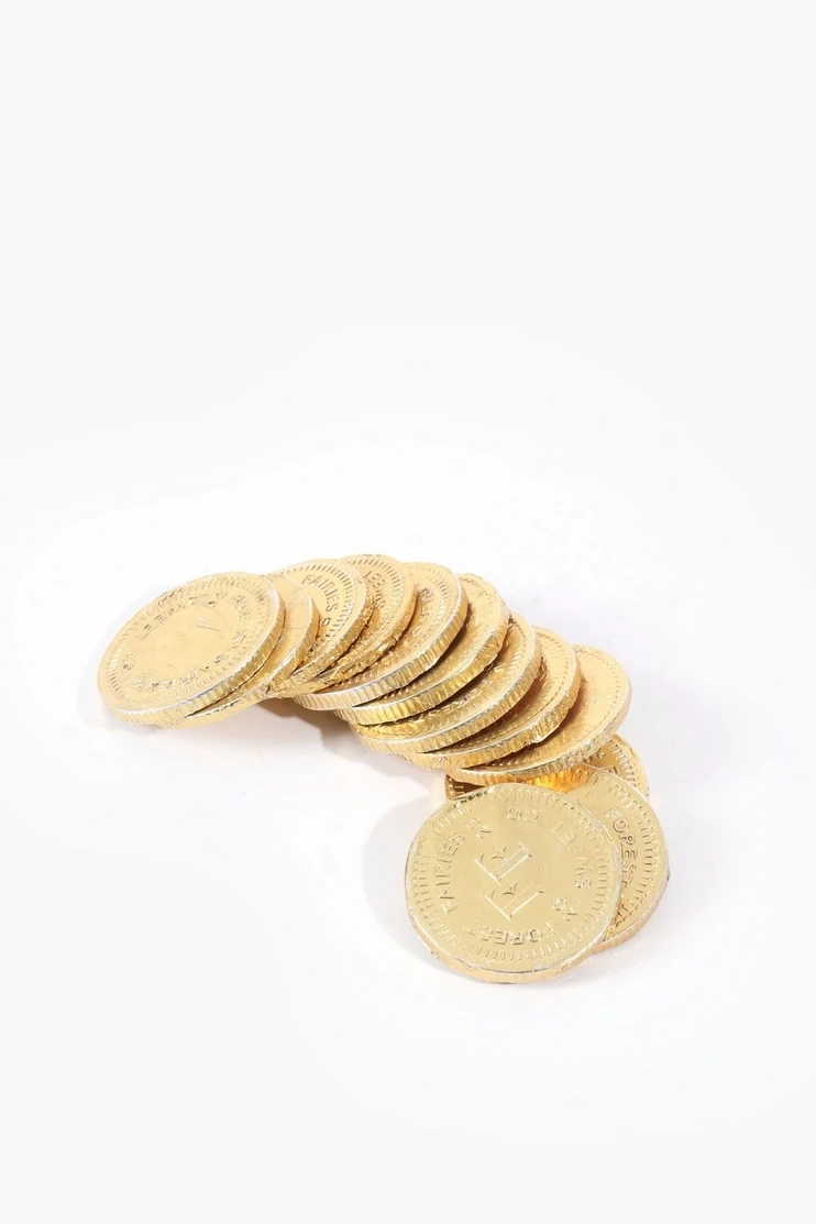 Chocolate Gold Coins,85g